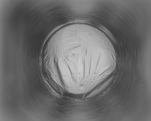 X0000075341436200610061643
