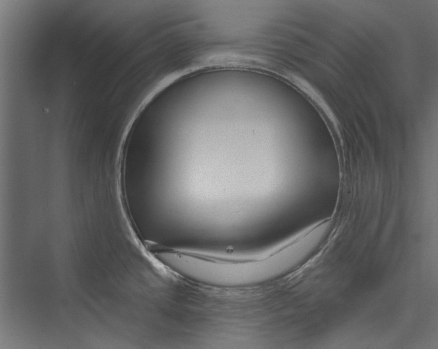 X0000075341437200610061643