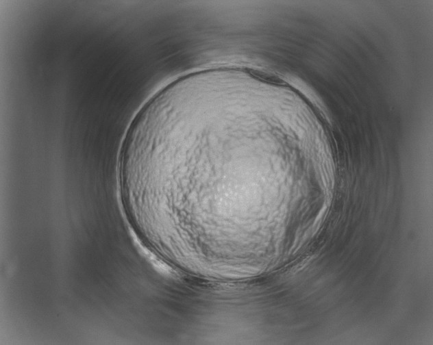 X0000075341439200610061643
