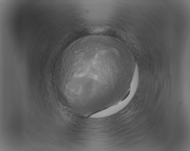 X0000075341441200610061642