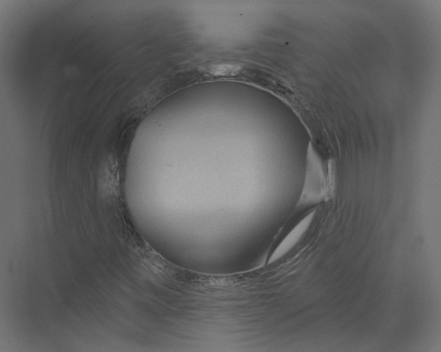 X0000075341443200610061642
