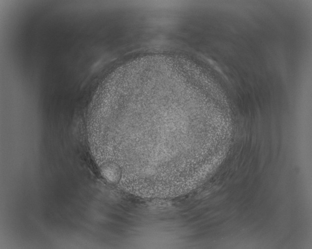 X0000075341446200610061642