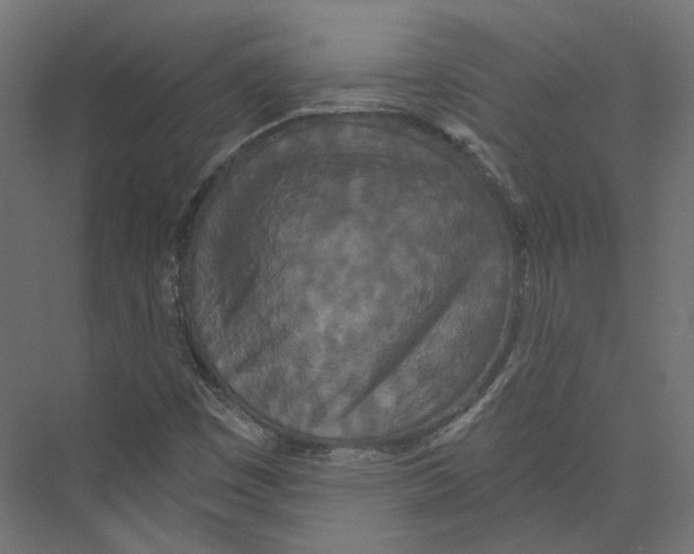 X0000075341449200610061642