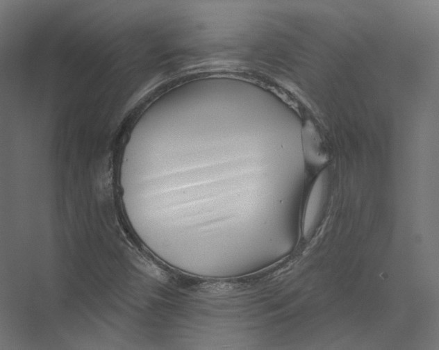 X0000075341450200610061642