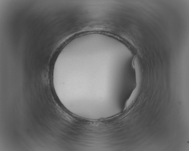 X0000075341452200610061642