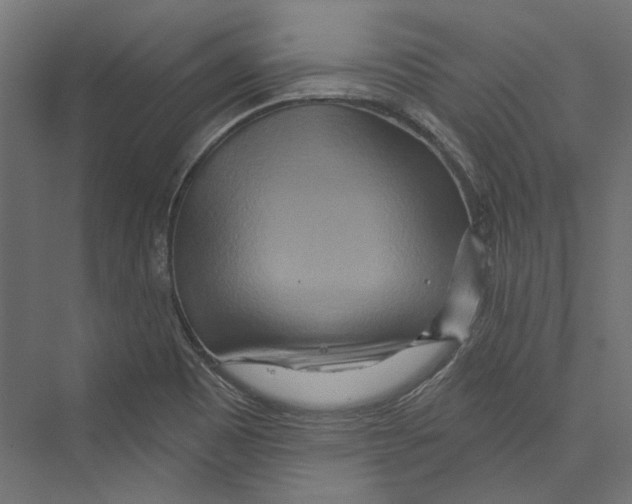 X0000075341465200610061642