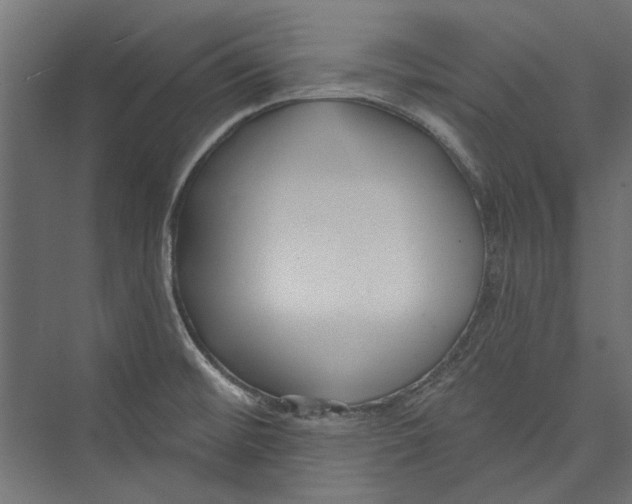X0000075341476200610061642