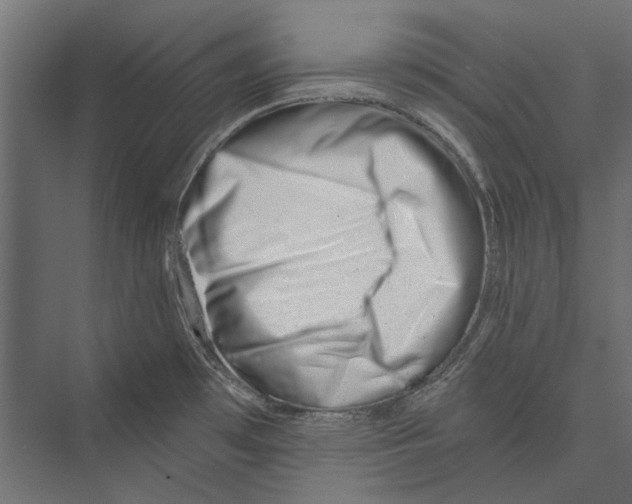 X0000075341481200610061642