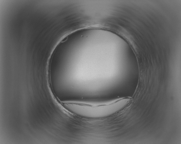 X0000075341483200610061642