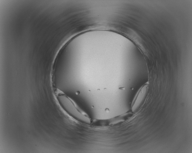 X0000075341484200610061642