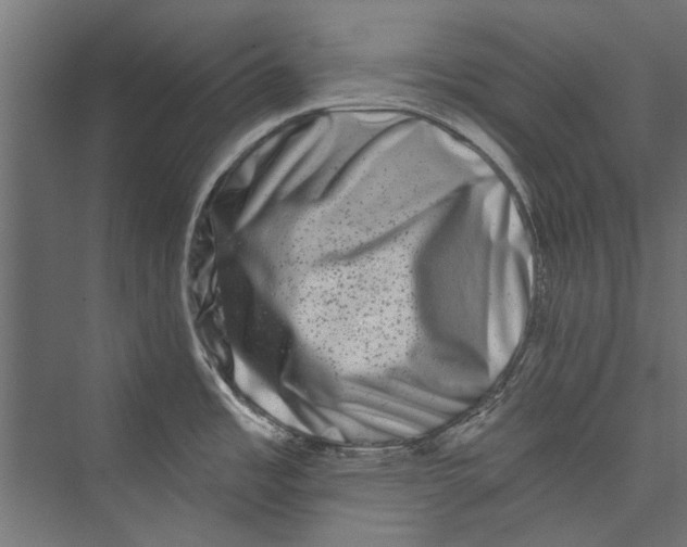 X0000075341485200610061642