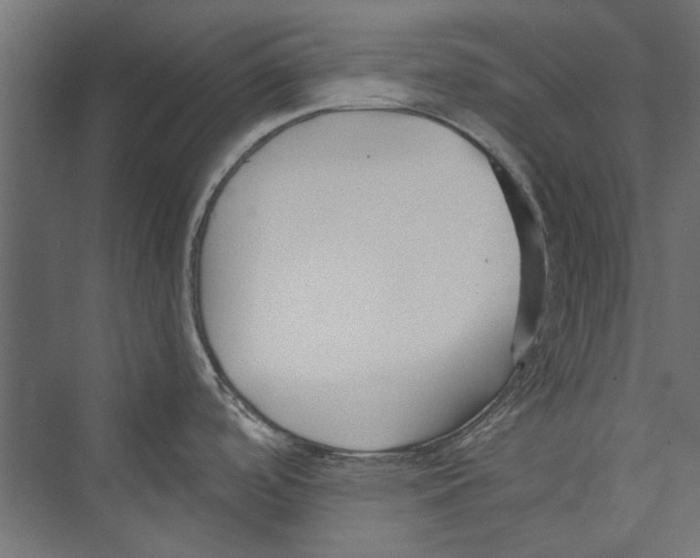X0000075341488200610061642