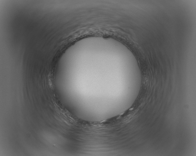 X0000075341490200610061641