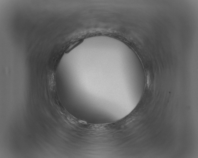 X0000075341492200610061641