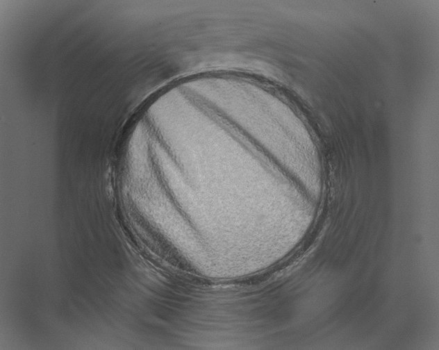 X0000075341497200610061641