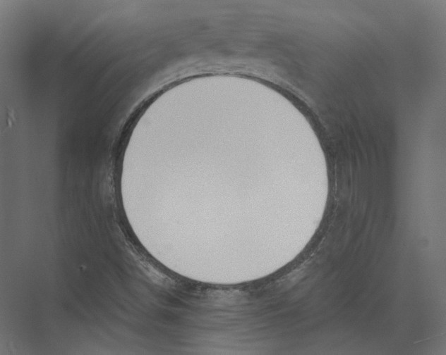 X0000075341498200610061641