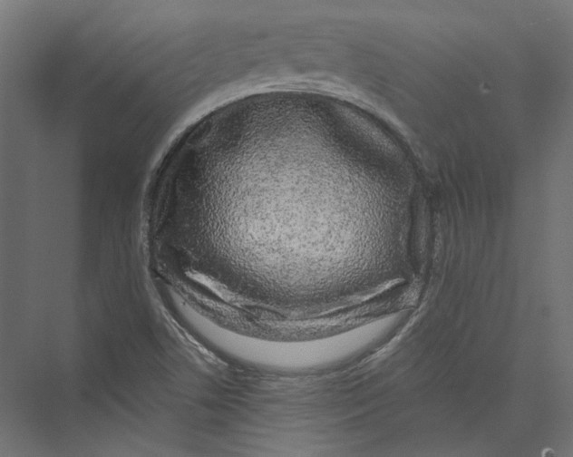 X0000075341506200610061641
