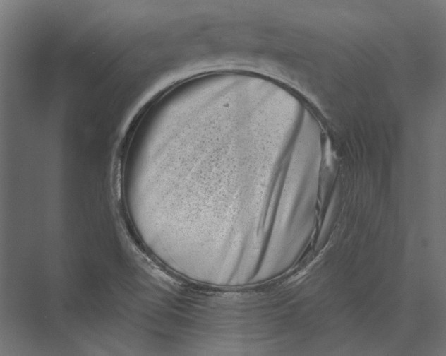 X0000075341510200610061641