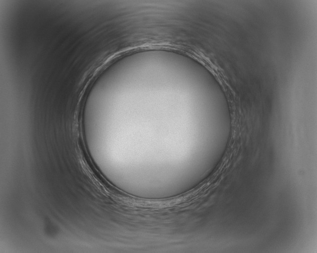 X0000075350002200609080825