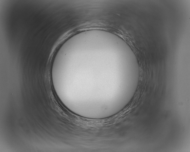 X0000075350004200609080825