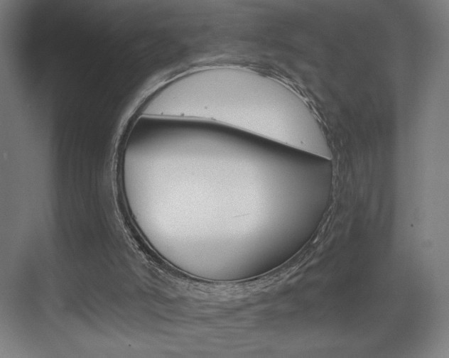 X0000075350006200609080824