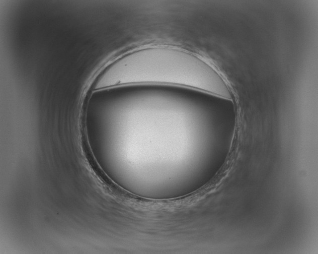 X0000075350007200609080824