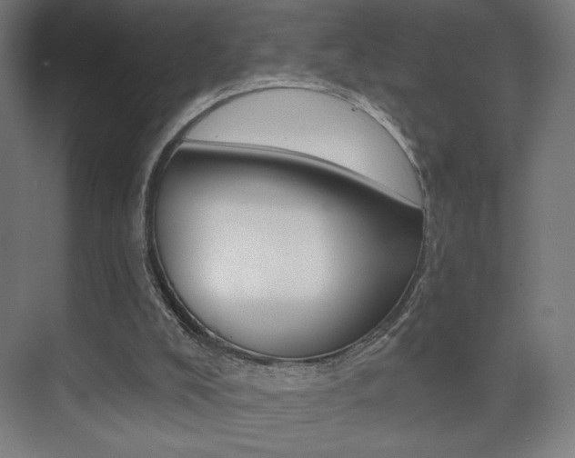 X0000075350008200609080824