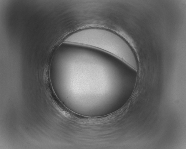 X0000075350009200609080824