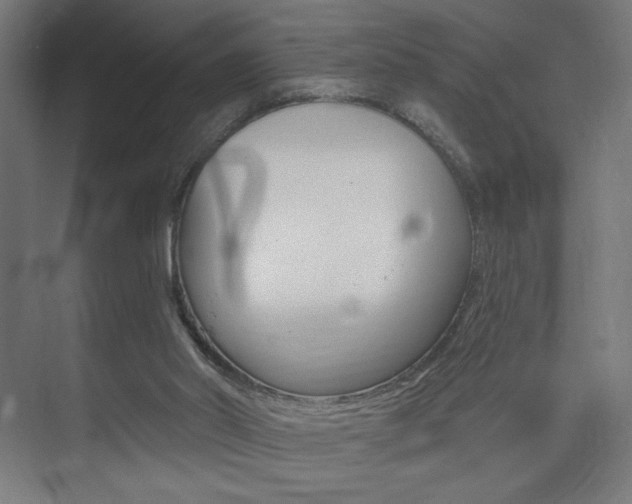 X0000075350014200609080824