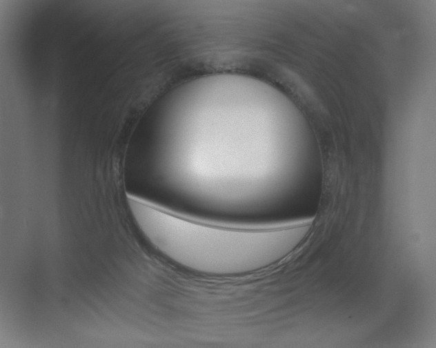 X0000075350025200609080824