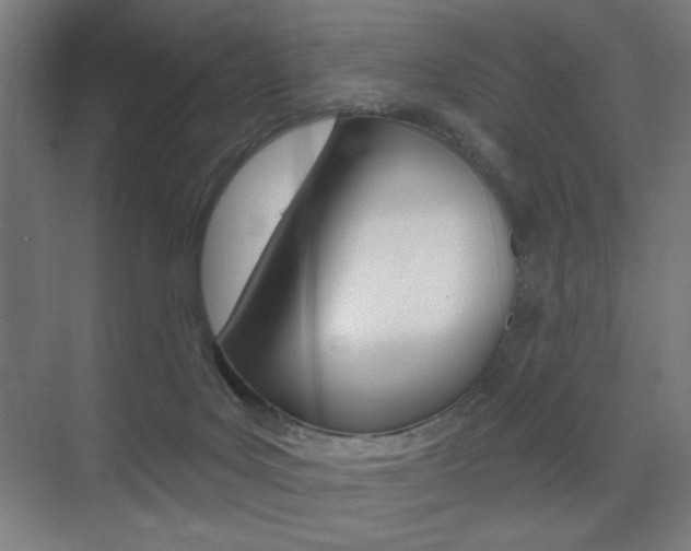 X0000075350027200609080824