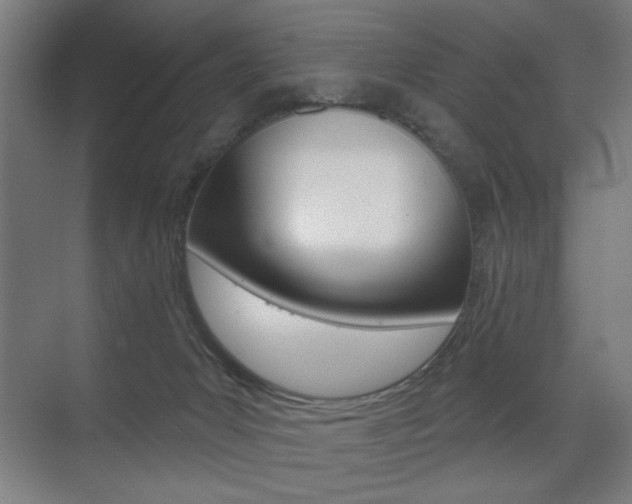 X0000075350031200609080824