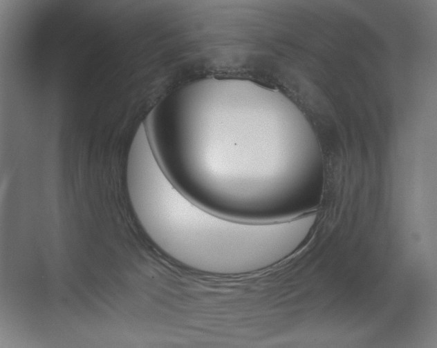 X0000075350033200609080824