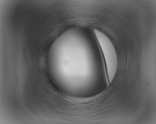 X0000075350035200609080824