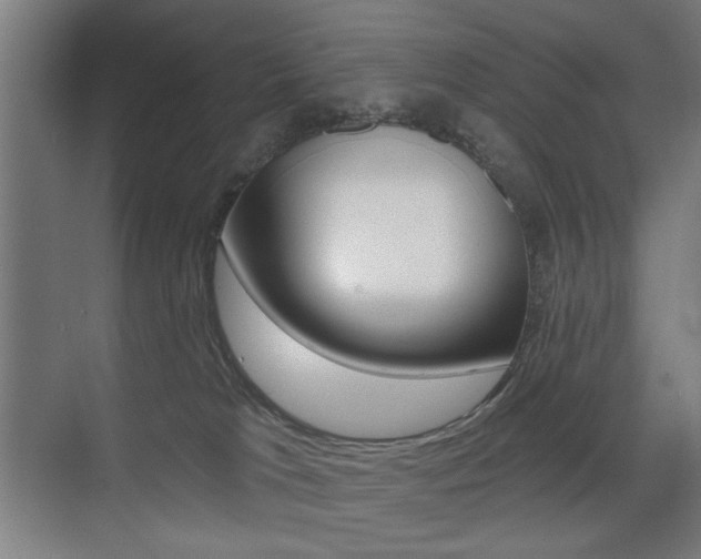 X0000075350037200609080824
