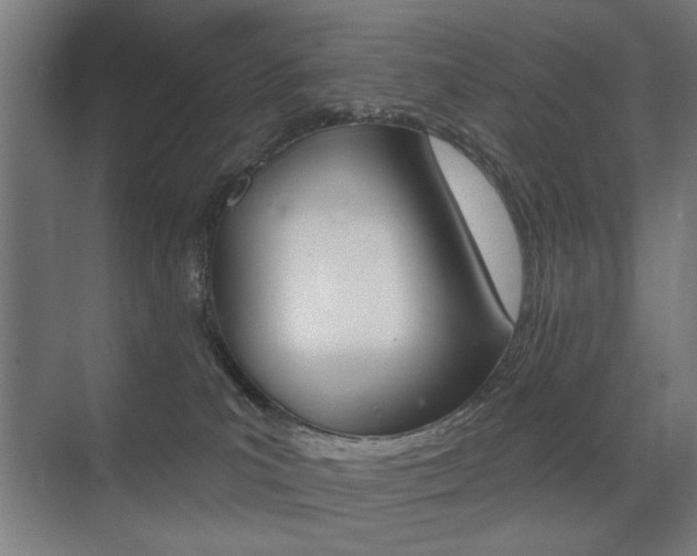 X0000075350039200609080824
