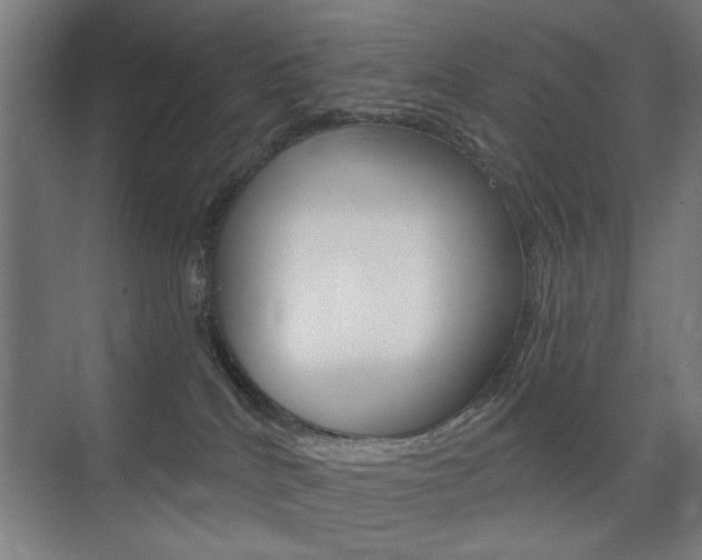 X0000075350040200609080824