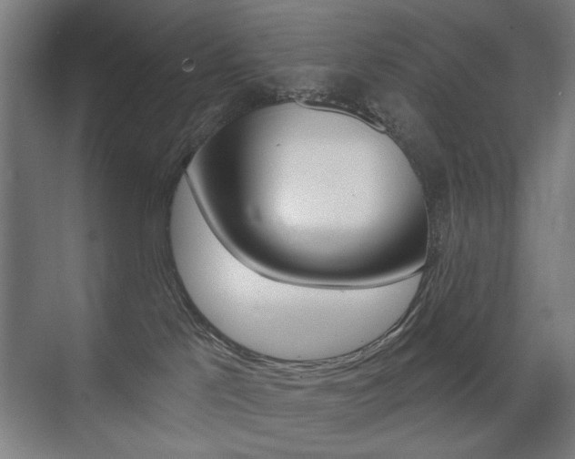 X0000075350041200609080824