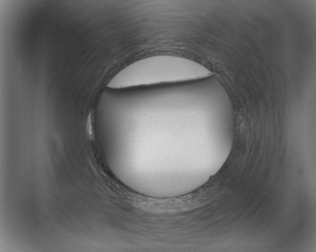 X0000075350042200609080824