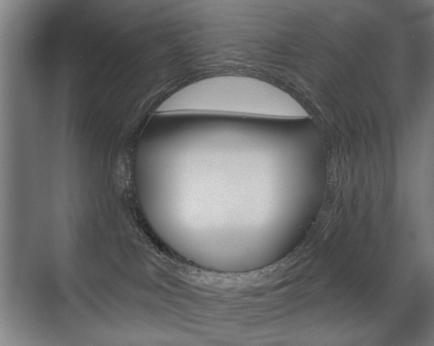 X0000075350043200609080824