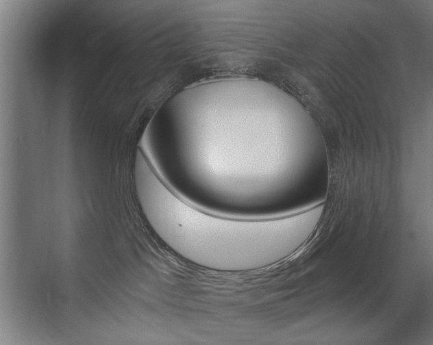 X0000075350045200609080824