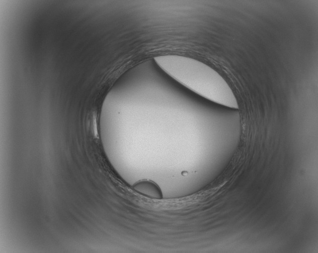 X0000075350046200609080824