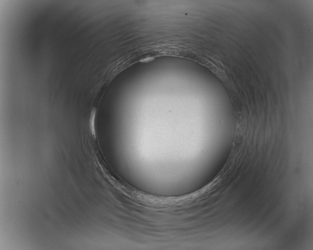 X0000075350047200609080824