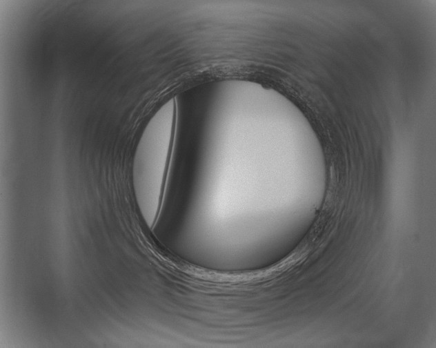 X0000075350048200609080824
