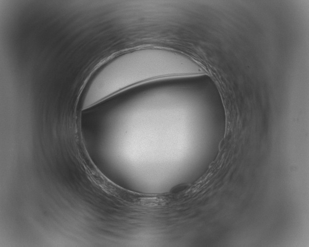 X0000075350050200609080823