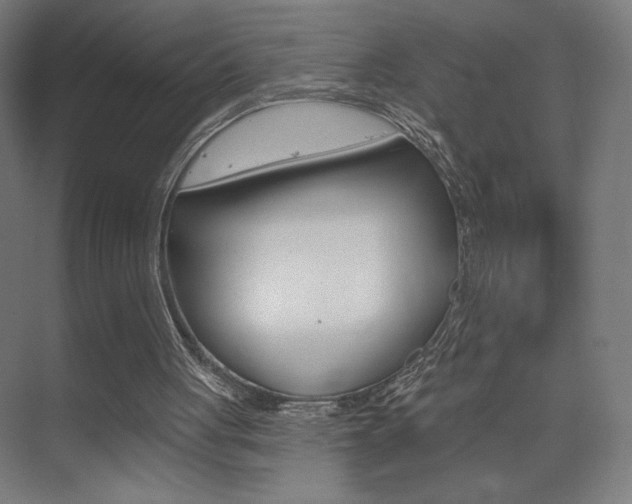 X0000075350051200609080823
