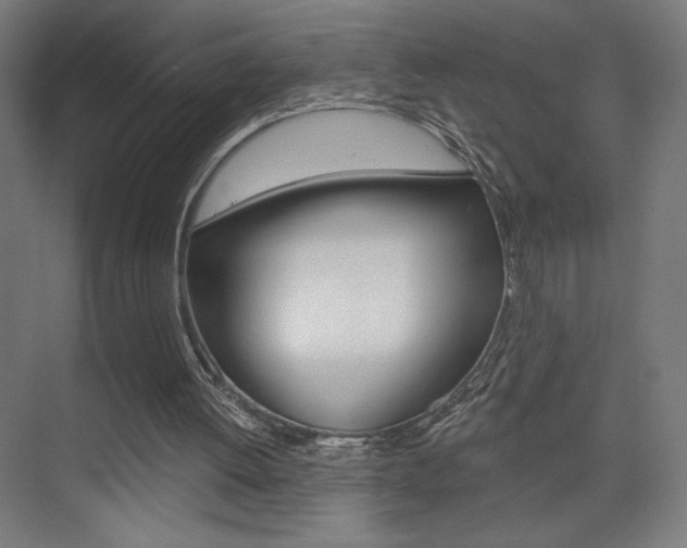 X0000075350052200609080823