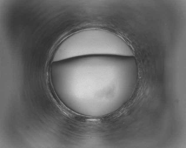 X0000075350053200609080823