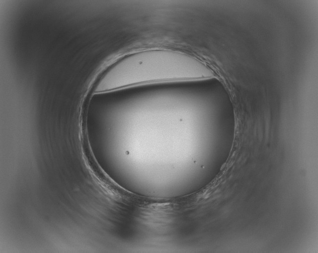 X0000075350054200609080823