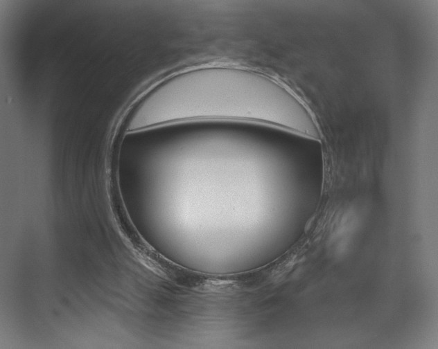 X0000075350055200609080823